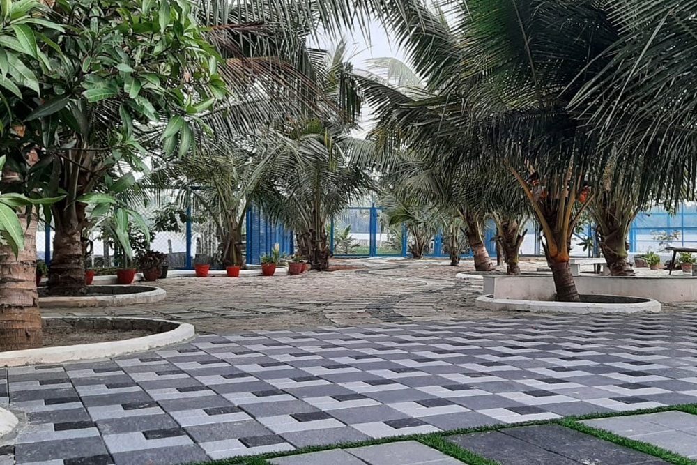 Courtyard with coconut trees at Aamees Paradise
