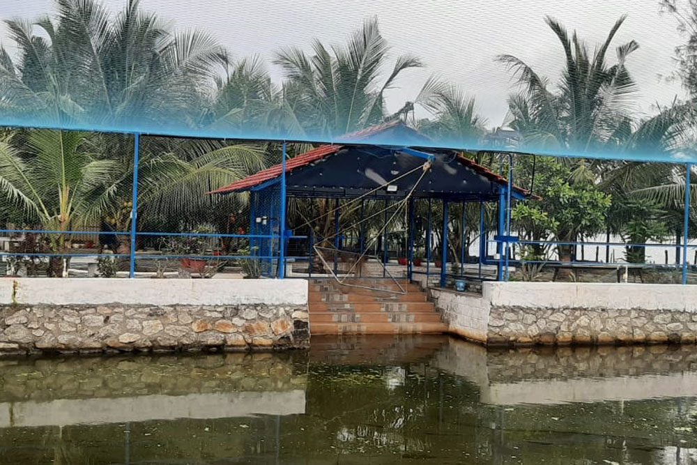 Quiet water pond area at Aamees Paradise